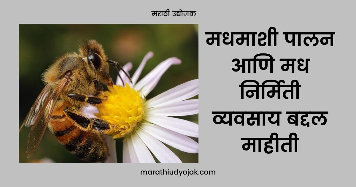 honey bee essay in marathi